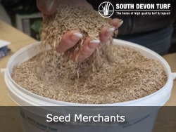 South Devon Premium and Supreme Seed